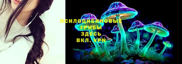 ГАЛЛЮЦИНОГЕННЫЕ ГРИБЫ Новодвинск