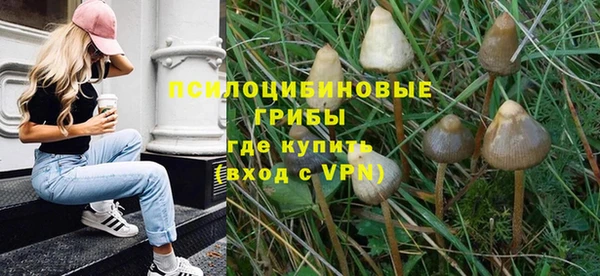 ГАЛЛЮЦИНОГЕННЫЕ ГРИБЫ Новодвинск
