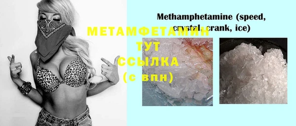 ПСИЛОЦИБИНОВЫЕ ГРИБЫ Новозыбков