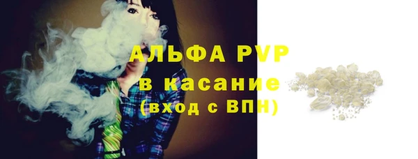 ПСИЛОЦИБИНОВЫЕ ГРИБЫ Новозыбков