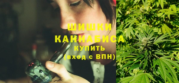 ПСИЛОЦИБИНОВЫЕ ГРИБЫ Новозыбков