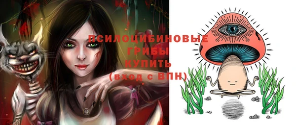 стаф Нефтекумск
