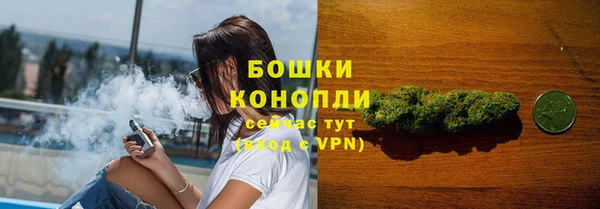 PSILOCYBIN Нея