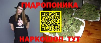 спиды Берёзовский