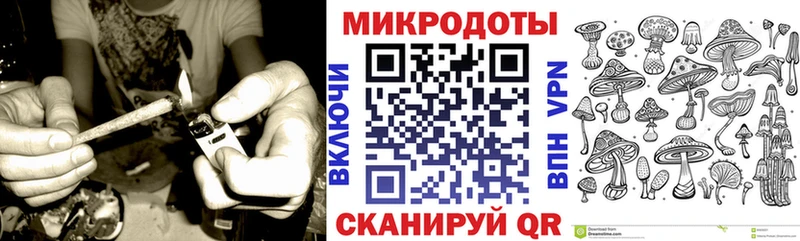 Галлюциногенные грибы Psilocybine cubensis  Великий Новгород 